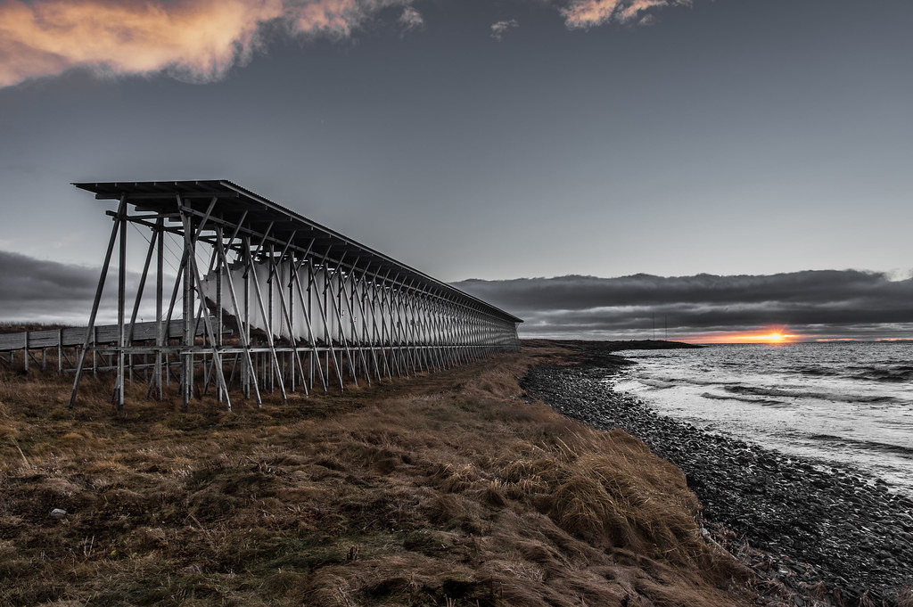 1D980A0D-6C76-4EBC-9403-2A668F38DE8A