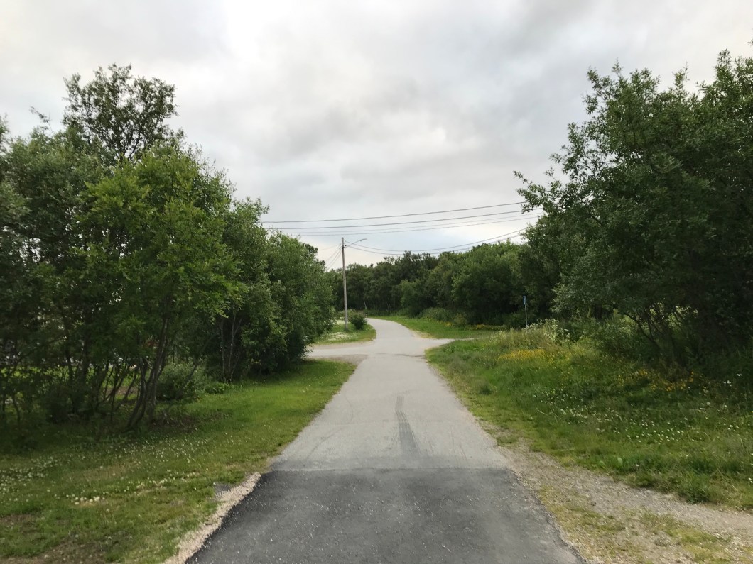 53BB0A23-13E2-4648-B8B3-22503FF1CB09