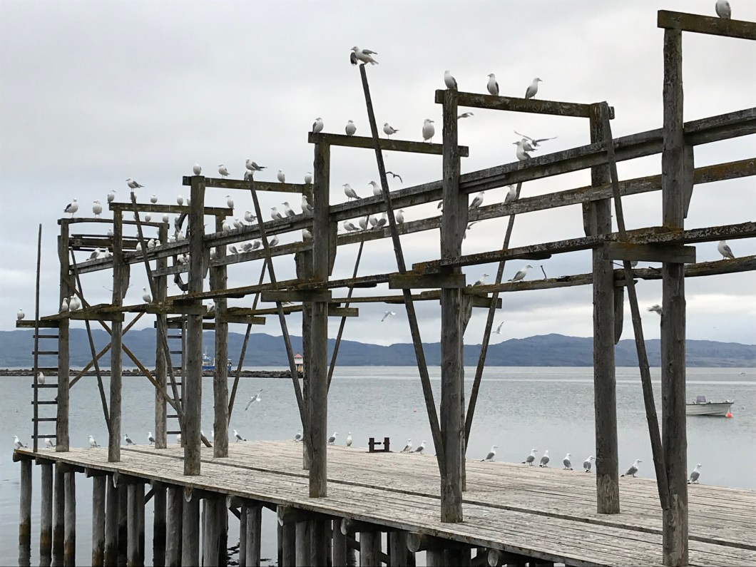 9F29FB77-A029-490C-8947-5EBCFF0288DF