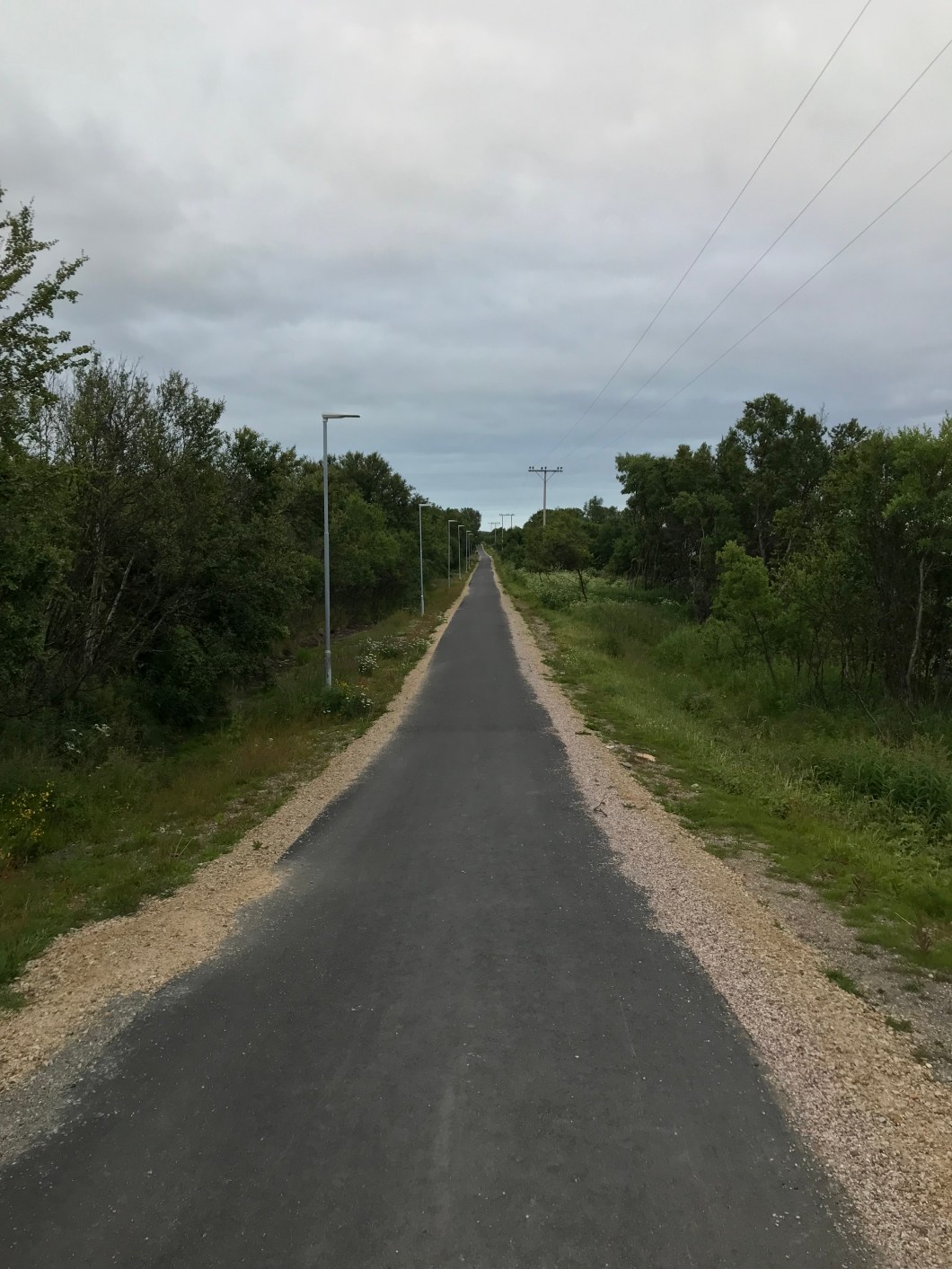 BF02DF4E-3404-4747-8C9C-71A11A2965A5